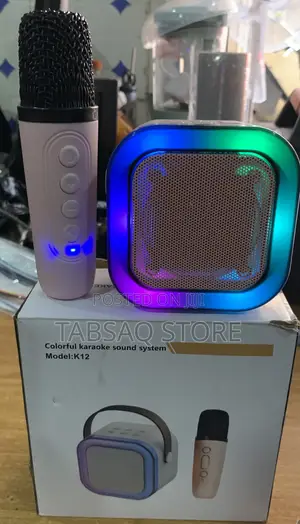 Karaoke Wireless Speaker With One Microphone