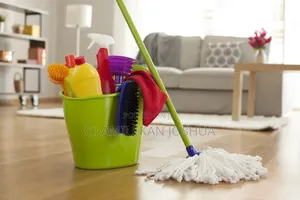 Olah Cleaning Service Limited