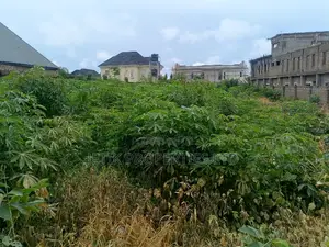 A Beautifully Fenced 100x200 Plot of Land for Sale