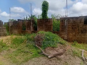 Half Plot Of Land