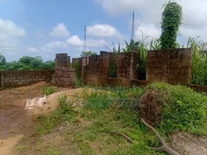 Half Plot Of Land