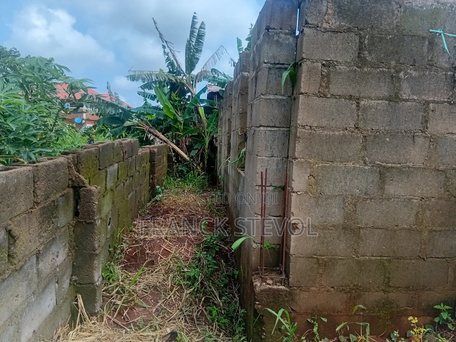 Half Plot Of Land