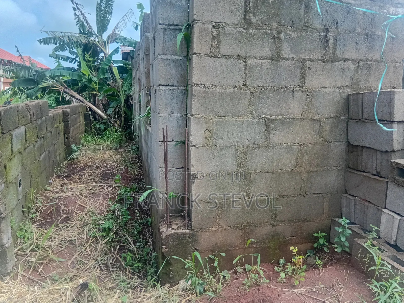 Half Plot Of Land