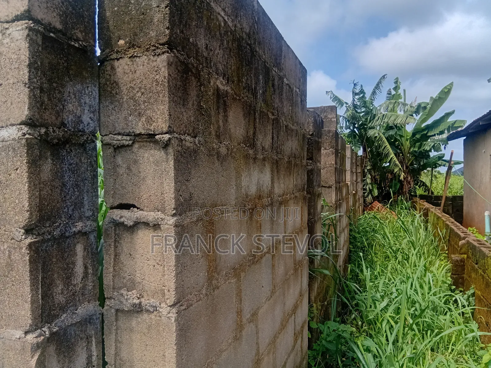 Half Plot Of Land