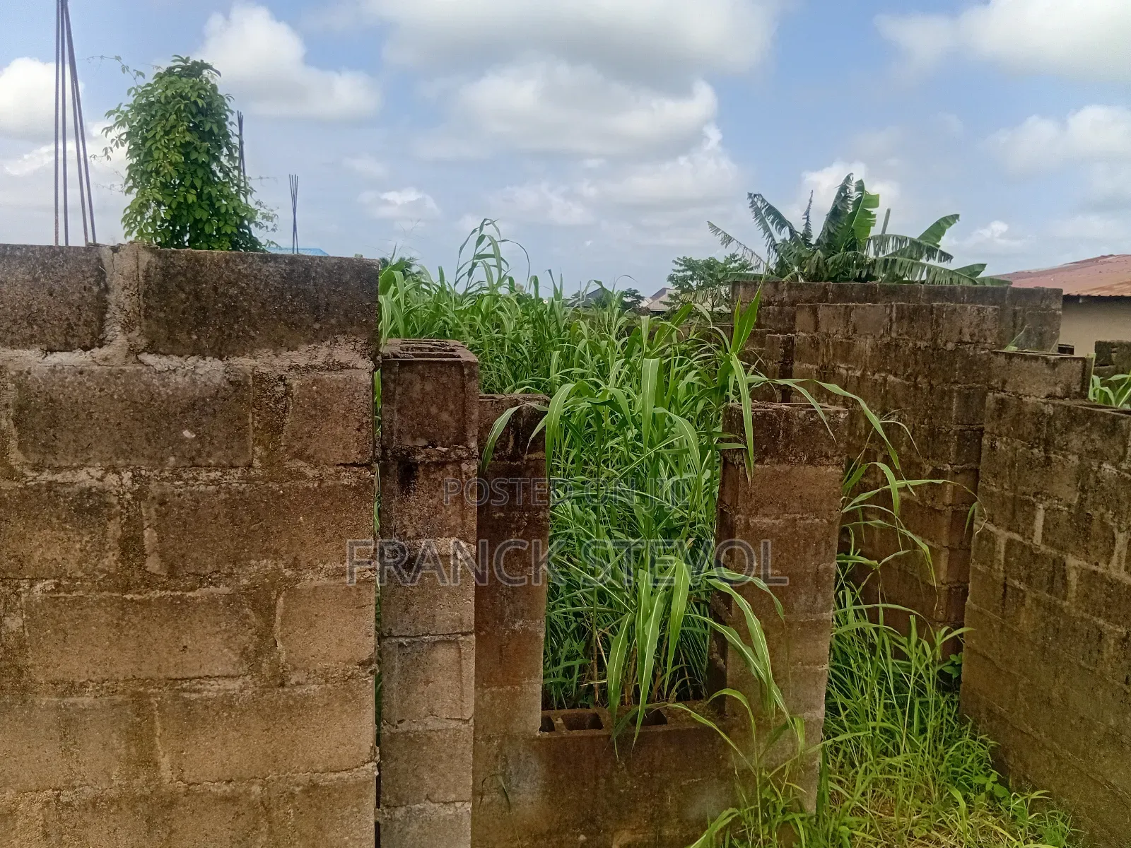 Half Plot Of Land