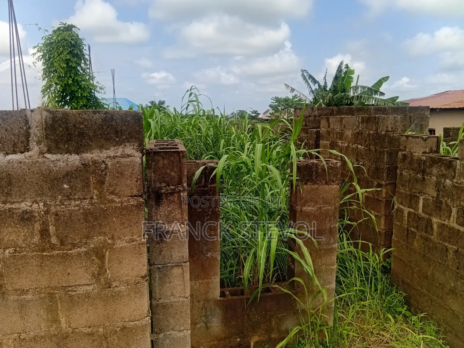 Half Plot Of Land