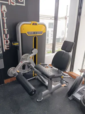 Commercial Gym Leg  Sit Up Machine