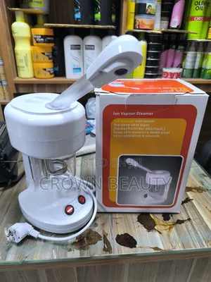 Face Steamer