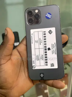 Apple iPhone 12 Pro 256 GB Gray