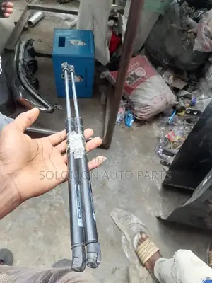 Bonnet Shocks Rx350 2016 2017