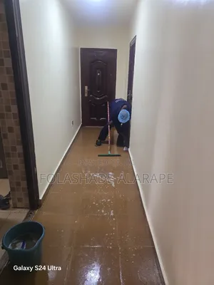Cleaning Service