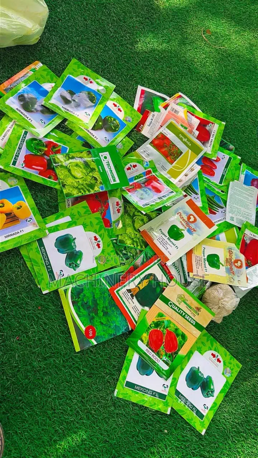 Hybrid Seeds Available in Varieties and Sizes