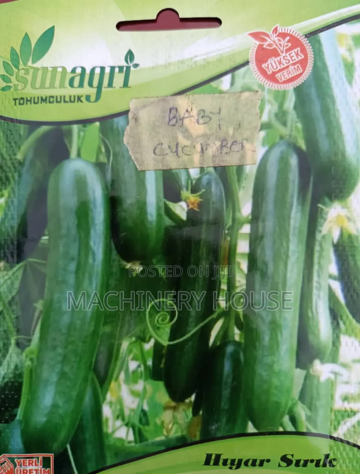 Hybrid Seeds Available in Varieties and Sizes
