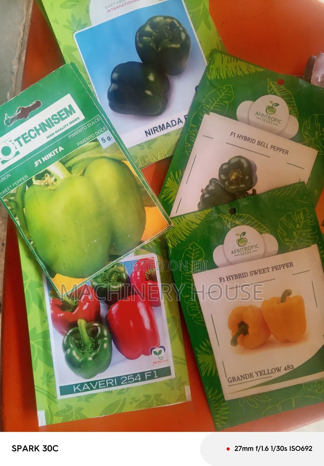 Hybrid Seeds Available in Varieties and Sizes