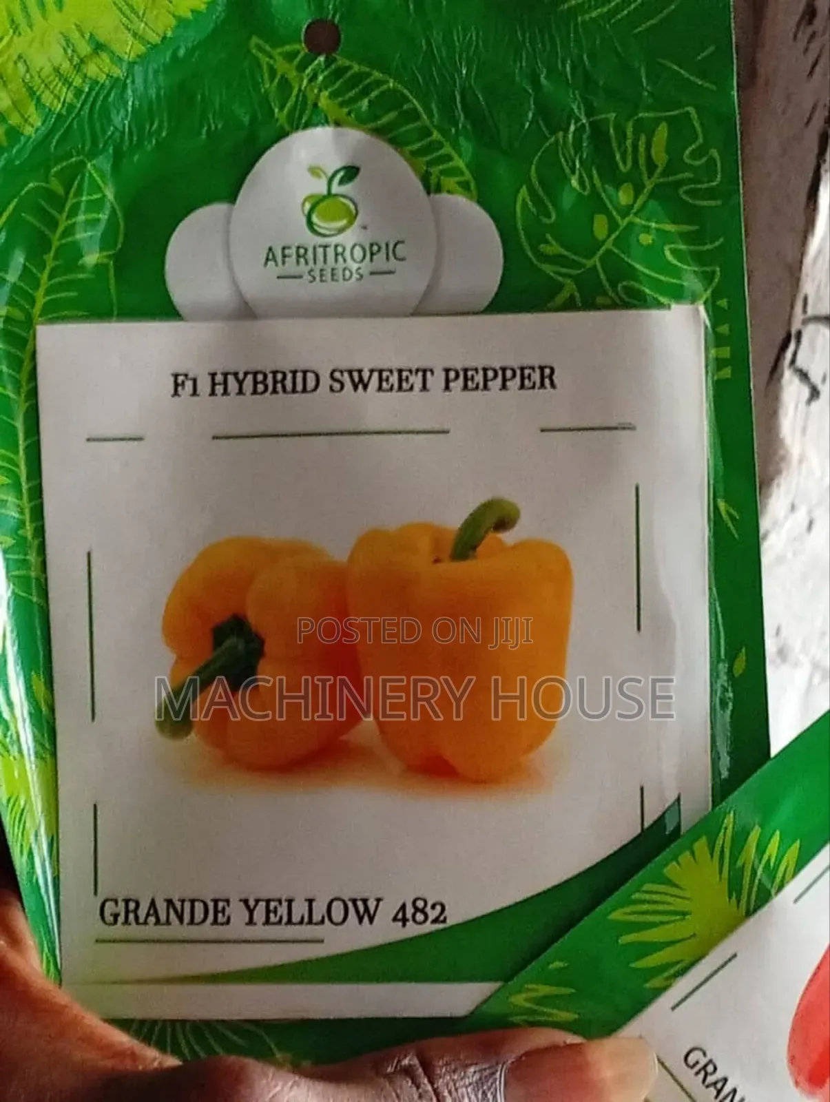 Hybrid Seeds Available in Varieties and Sizes