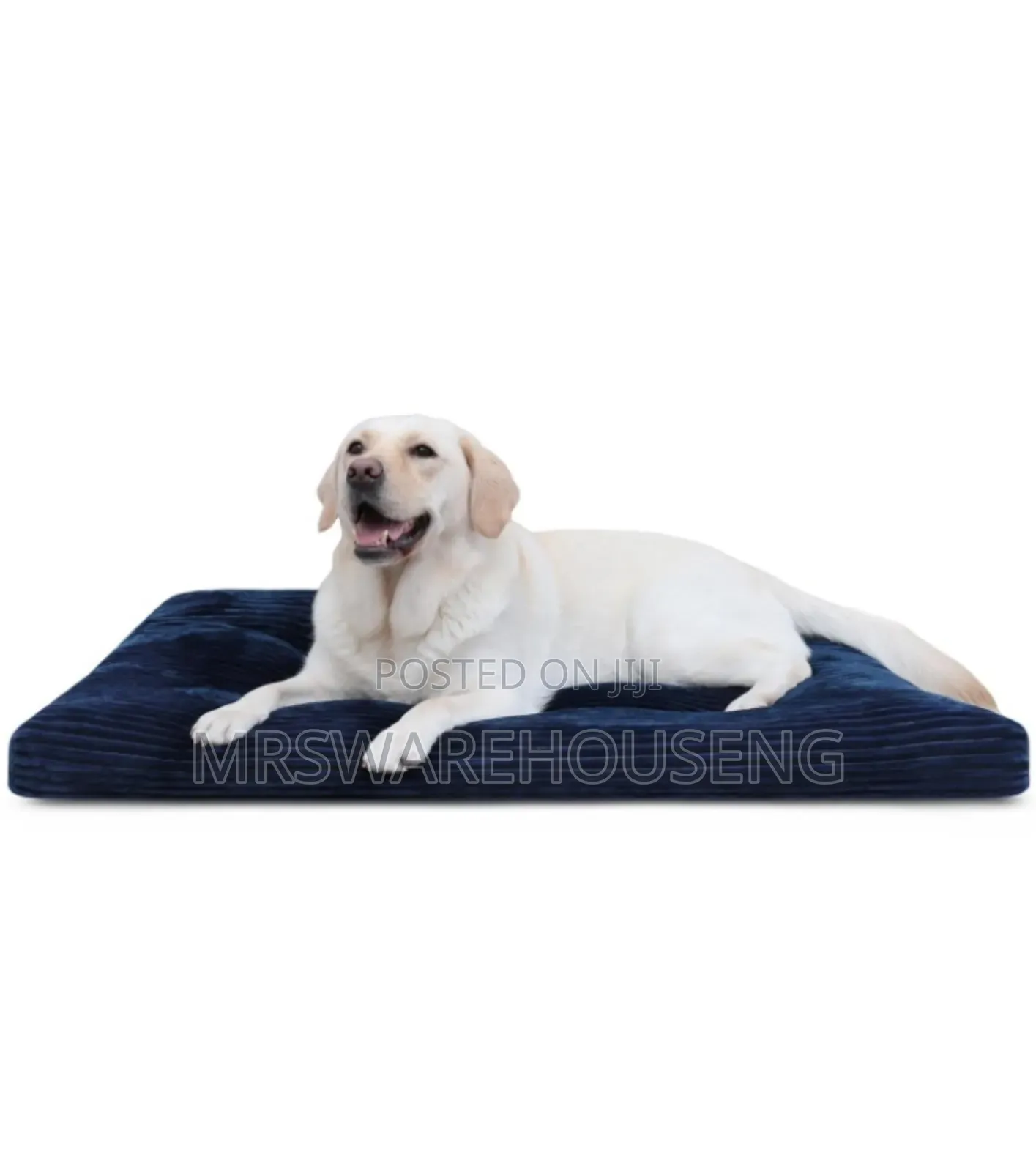 Soft Dog Bed