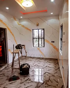 House Painting and Stucco Design