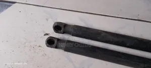 Bonnet Shock for Bentley Continental