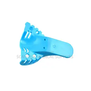 Oral Mold Tray
