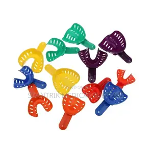 Molding Carrier for Dental Casts