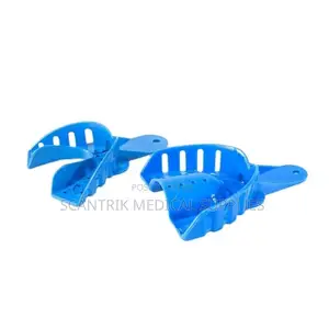 Dental Prosthesis Mold Carrier