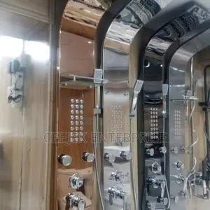 Executive Power Shower