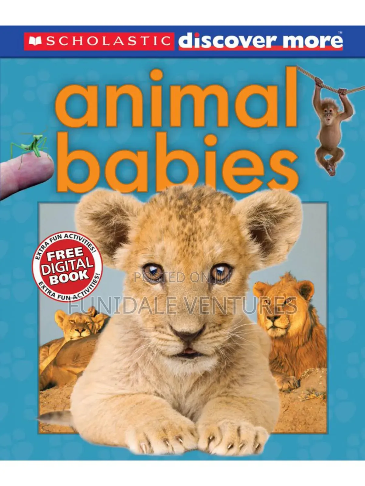 Scholastic: Animal Babies