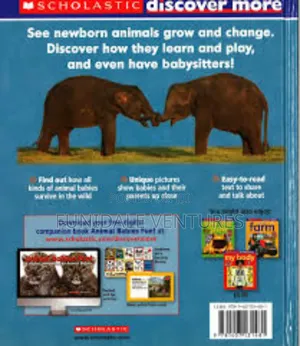 Scholastic: Animal Babies