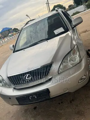 Photo - Lexus RX 330 2006 Gray