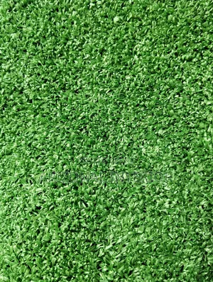 Artificial Grass