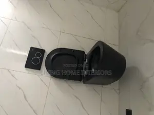 Black Conceal Water Closet With High Quality