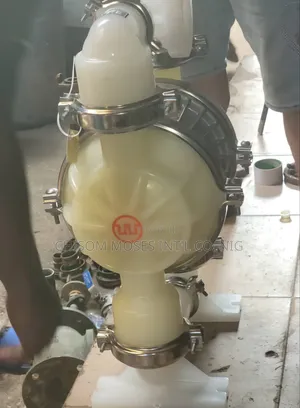 1/2"  Wilden Air-operated Double-diaphragm (Aodd) Pump