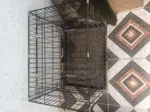Photo - Dogs Cage for Sale