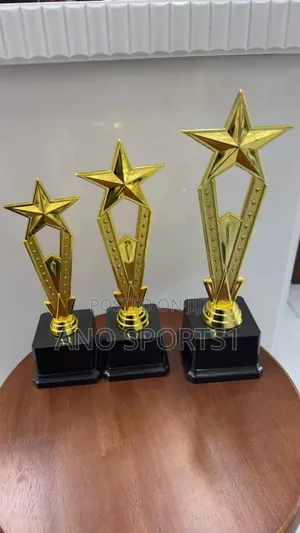 Award Plaques/Trophies Set