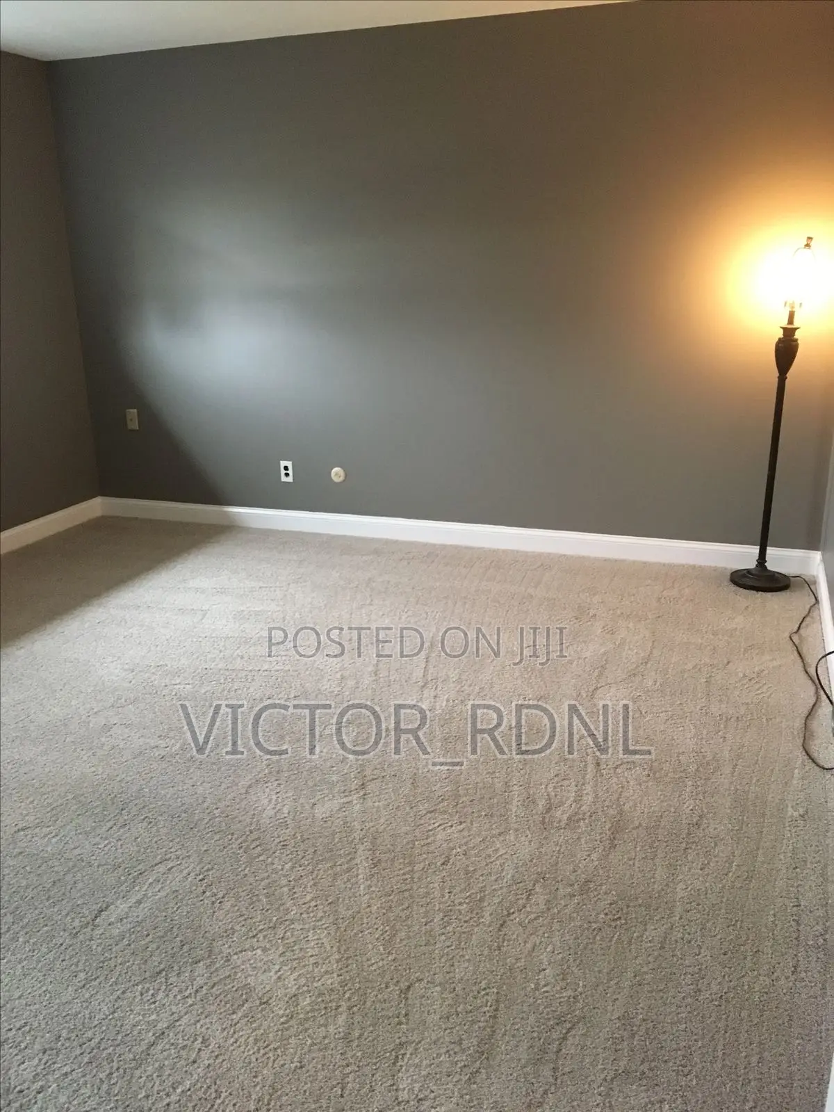 Standard Fluffy Rug