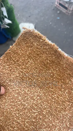 Standard Fluffy Rug