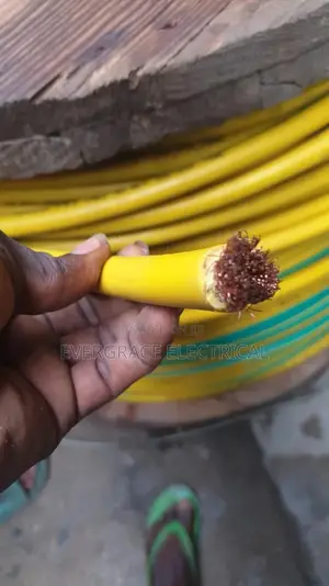 95mm 1-Core Flexible Cable Green and Yellow.