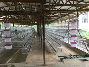 Imported Battery Cage