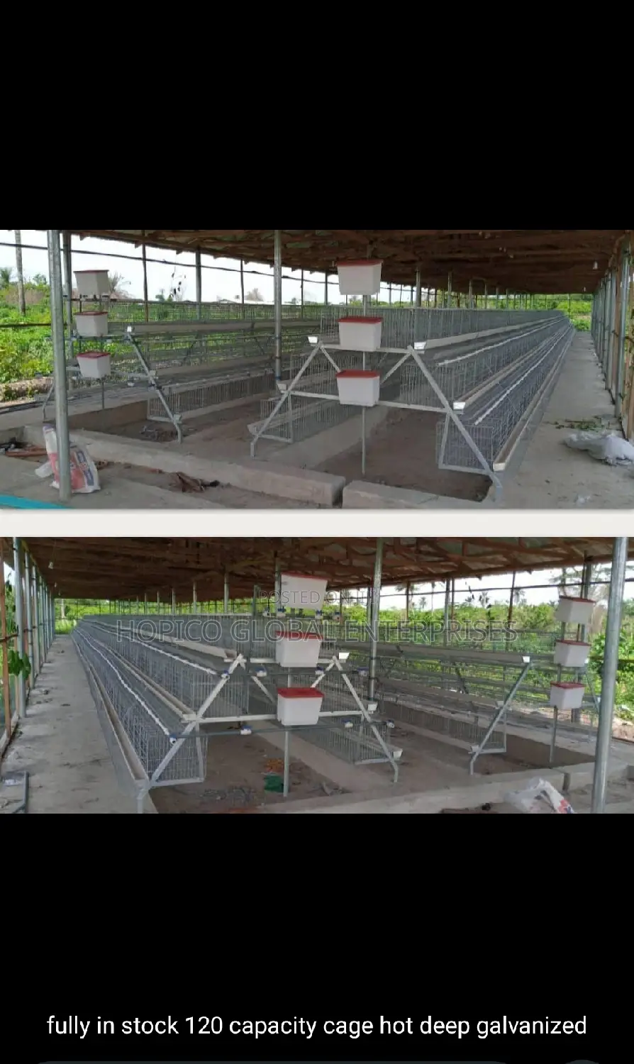 Imported Battery Cage