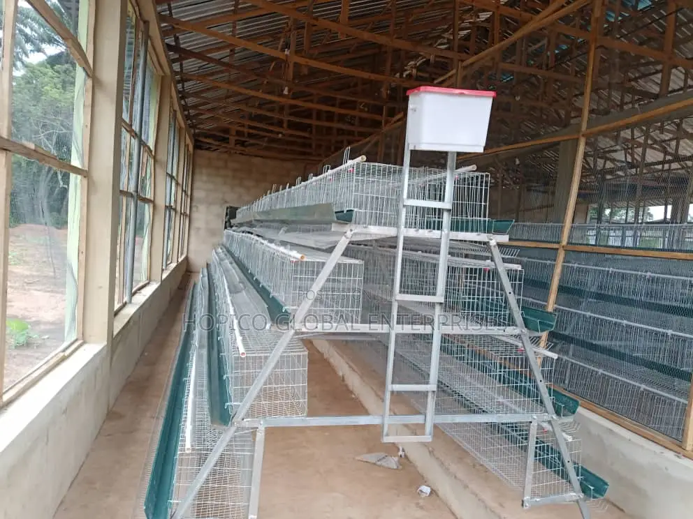 Imported Battery Cage