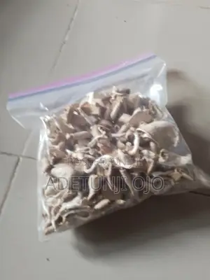 Dried and Fresh Mushrooms