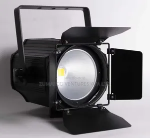 Single Point Stage Light