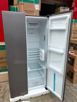 Hisense Commercial Standing Freezer