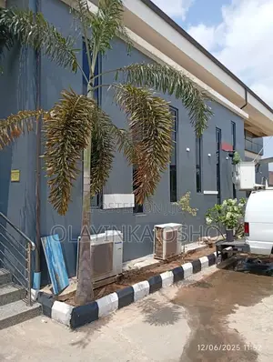 Screeding Putty and Painting Services