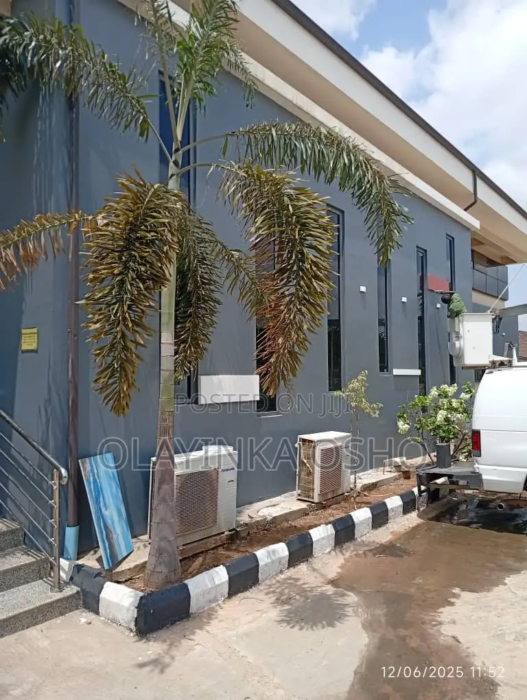 Screeding Putty and Painting Services