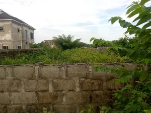 Photo - Plot of Land With C of O