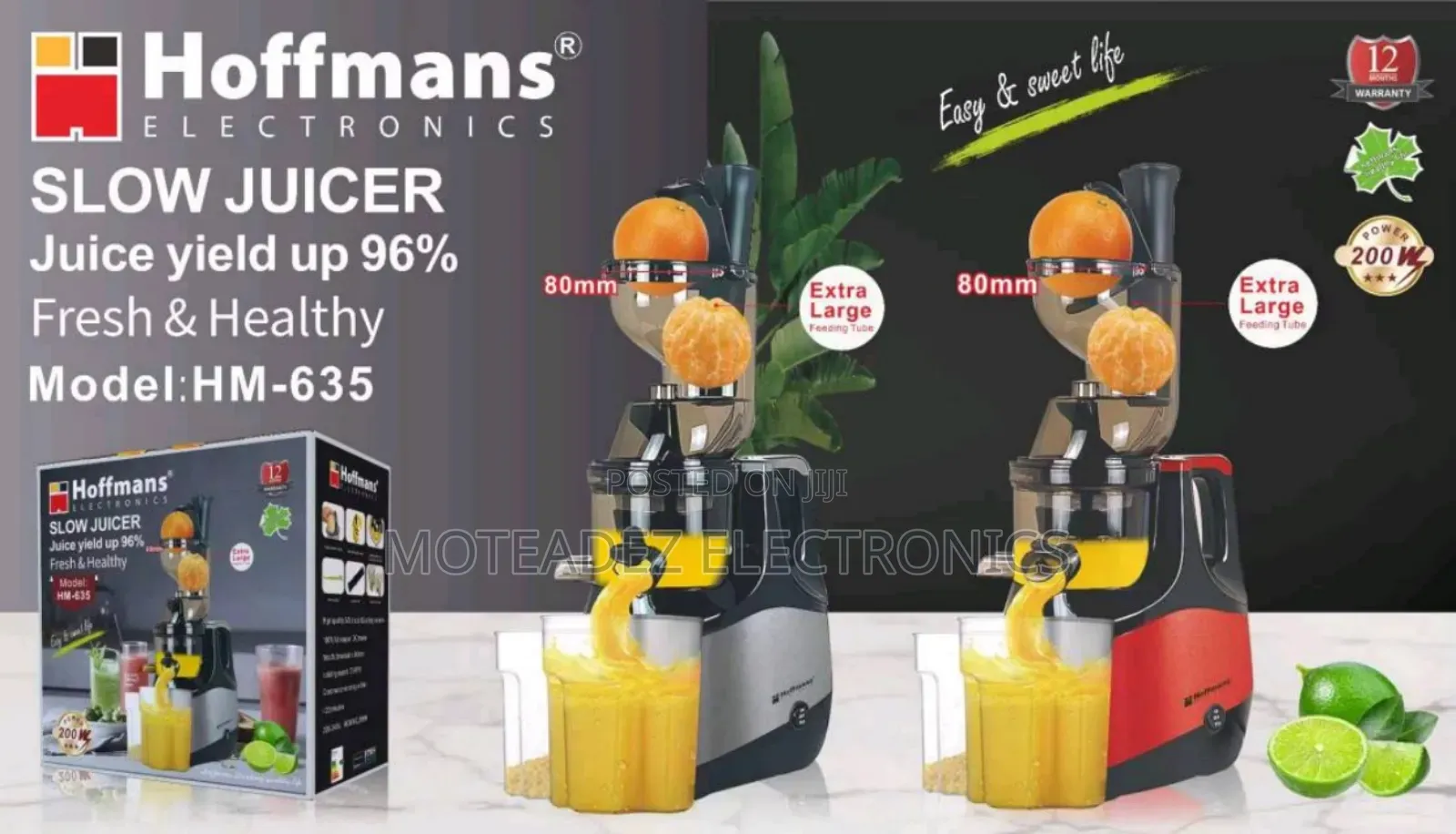 Hoffmans 200w High Quality Electric Slow Juicer
