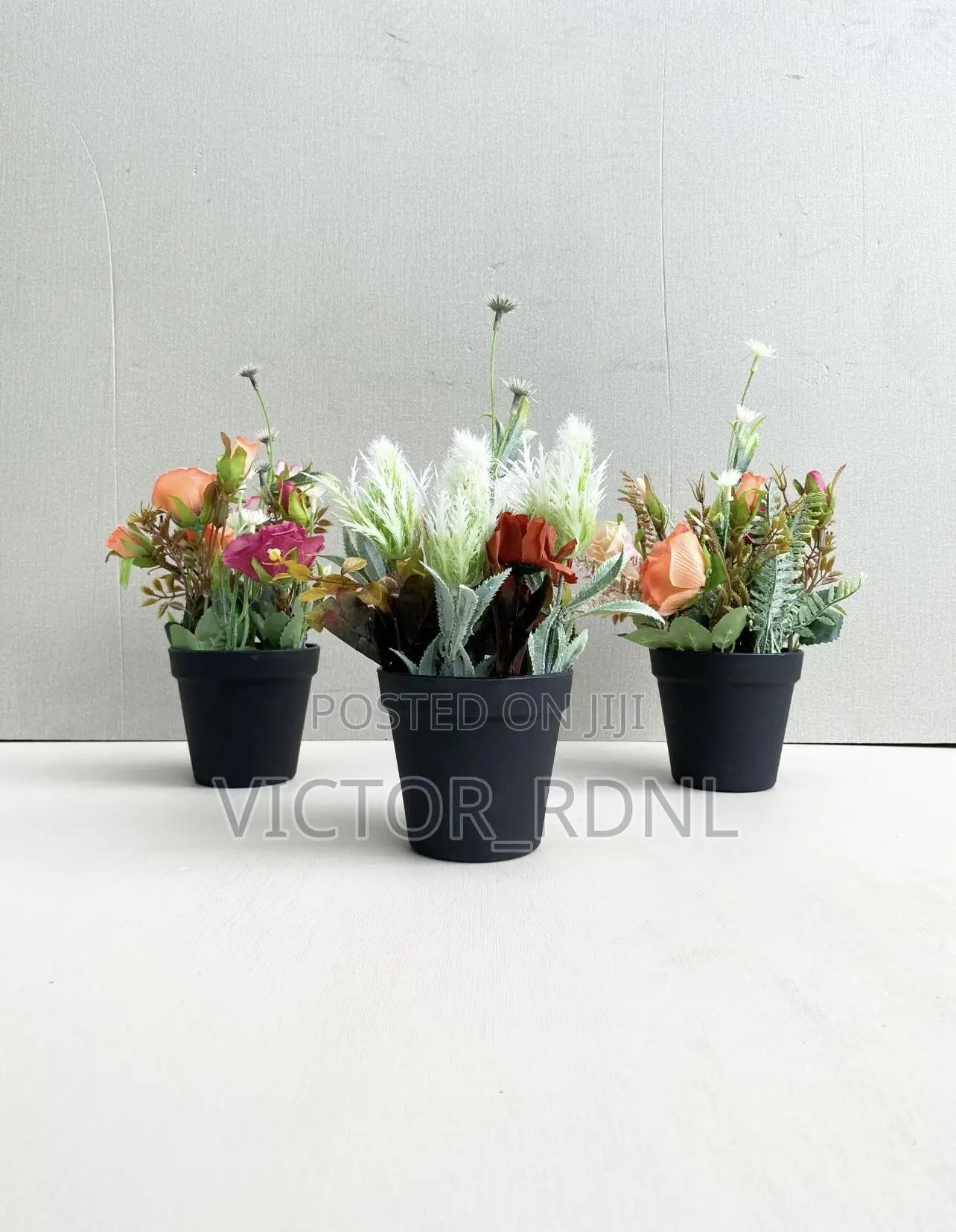 Imported Cup Flowers
