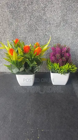 Imported Cup Flowers