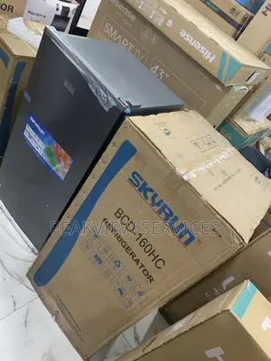 Skyrun 160l Refrigerator With Lock and Key